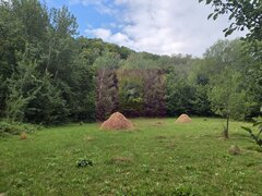 Teren de vanzare 15.000 mp in Telega