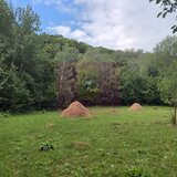 Teren de vanzare 15.000 mp in Telega